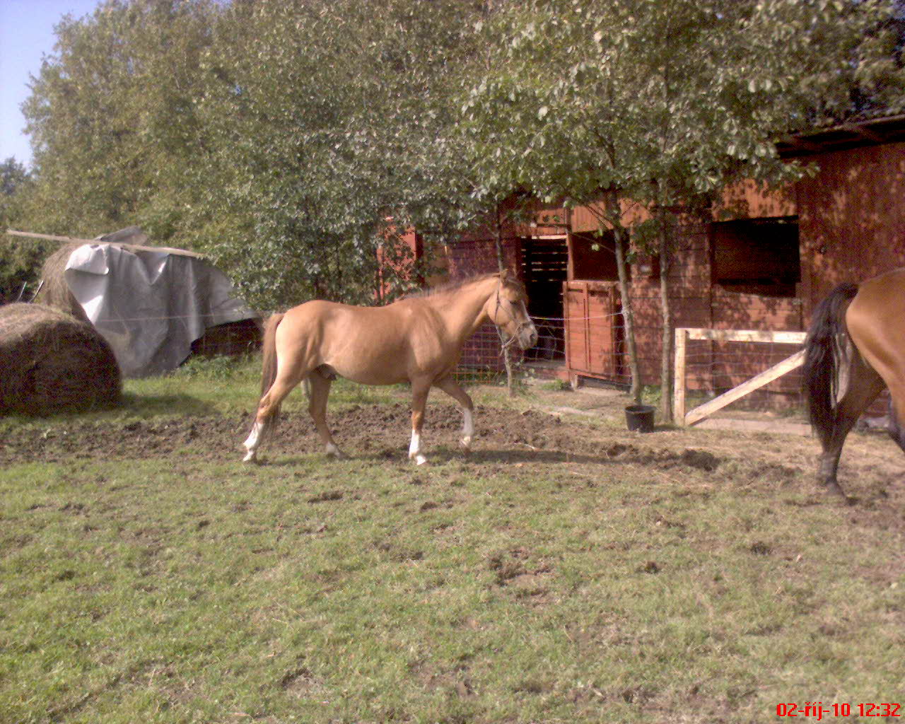 fotky 004