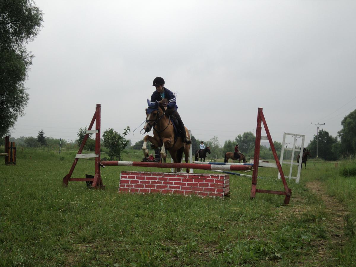 dsc08406