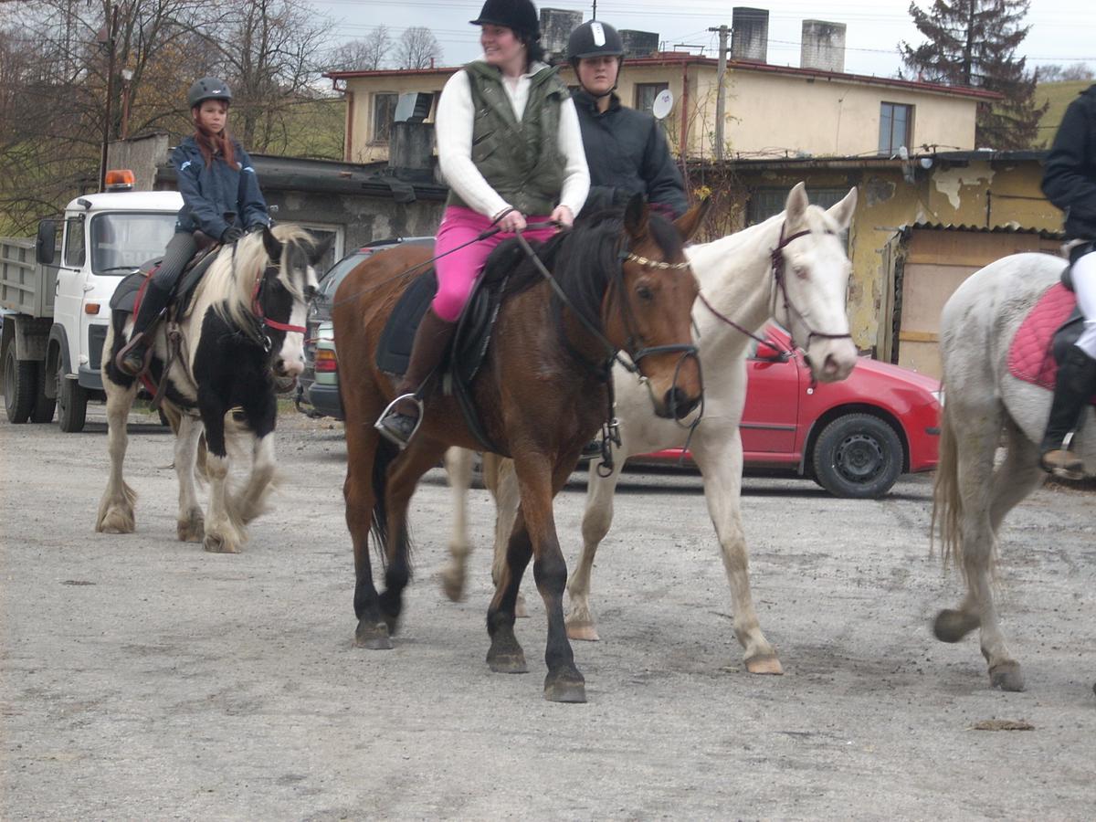 DSCN1641
