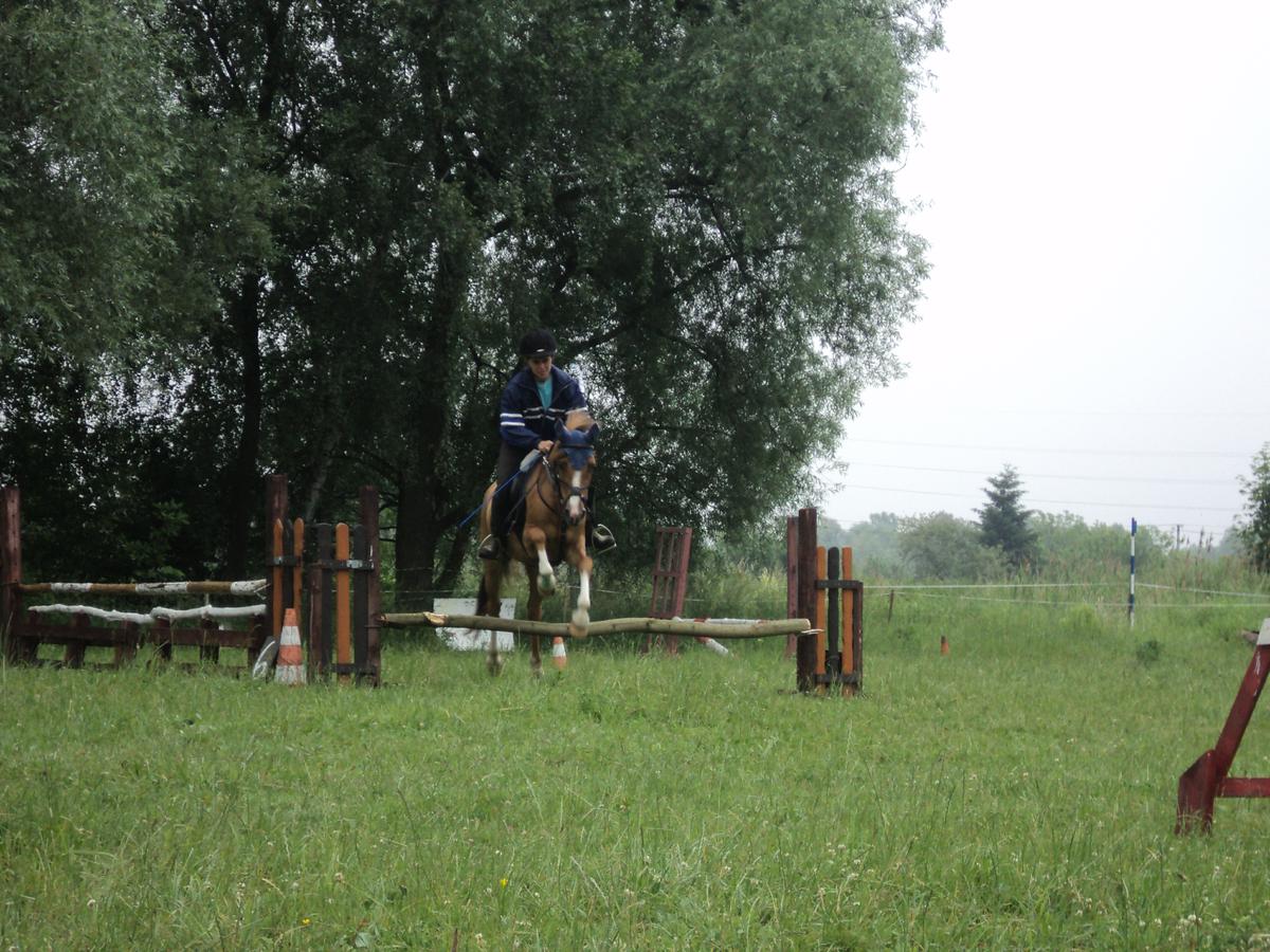 dsc08404