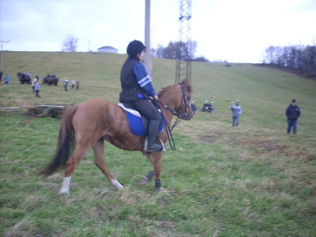 DSCN1757
