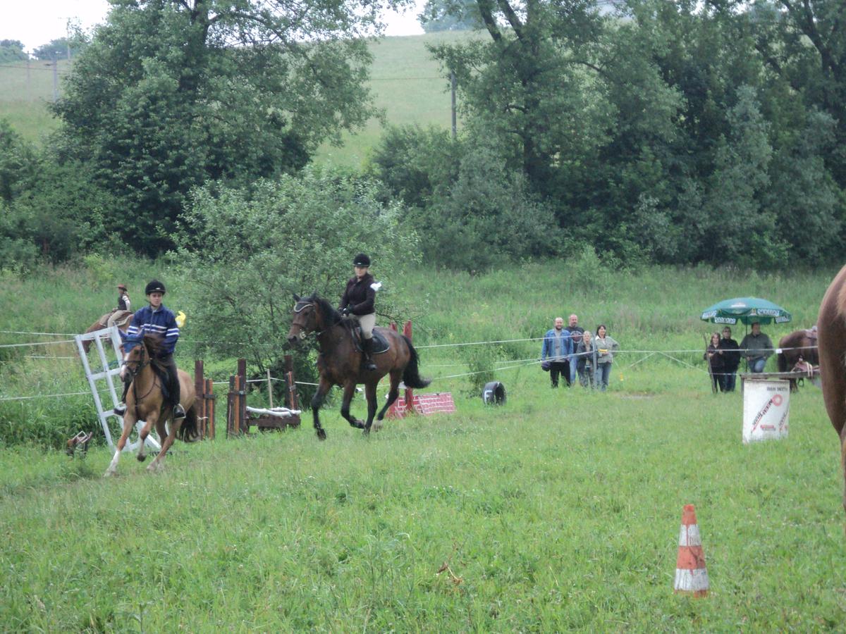 dsc08490