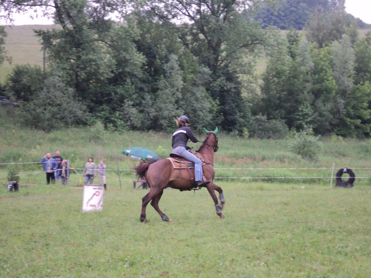 dsc08498