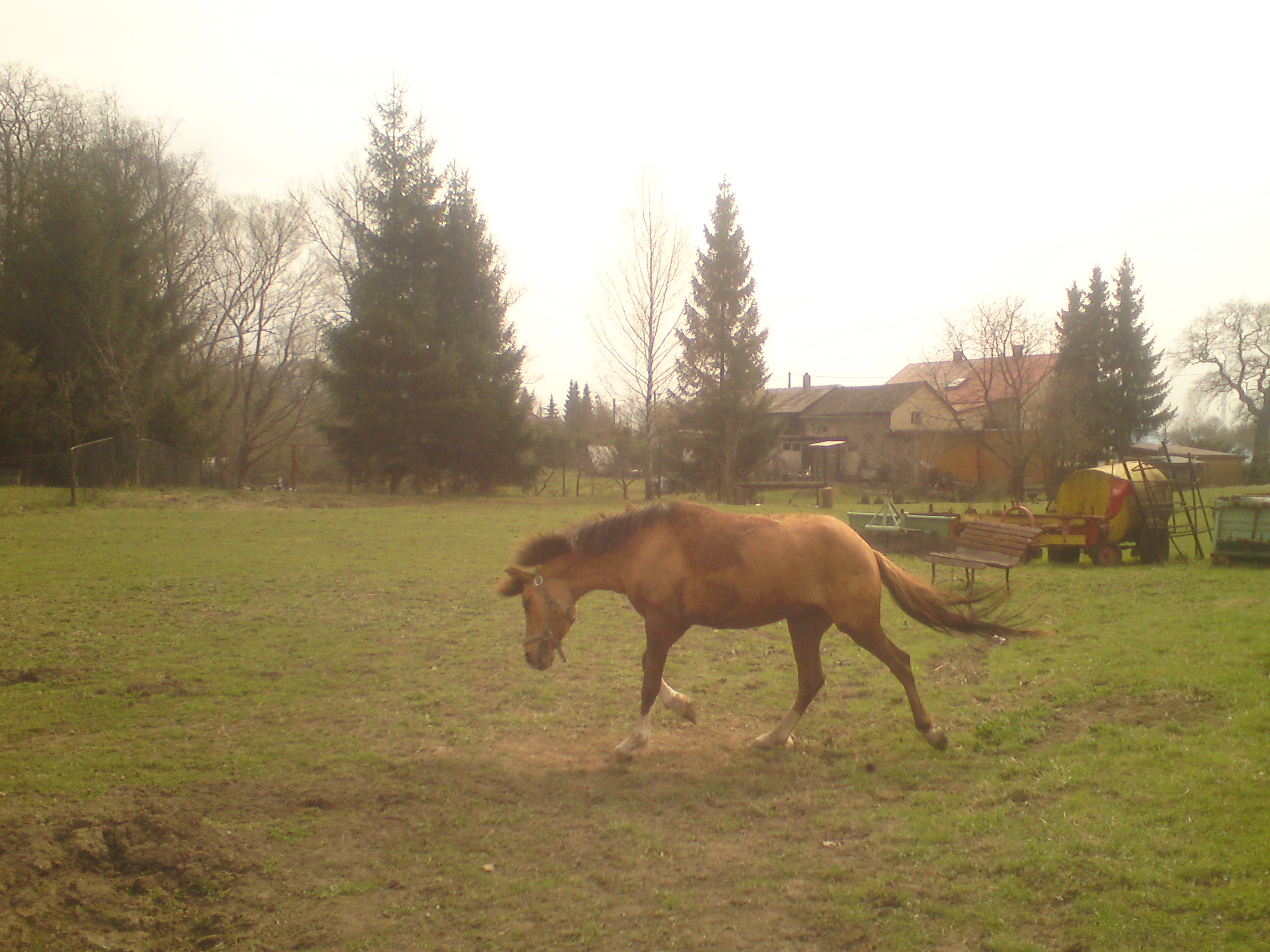 DSC00297