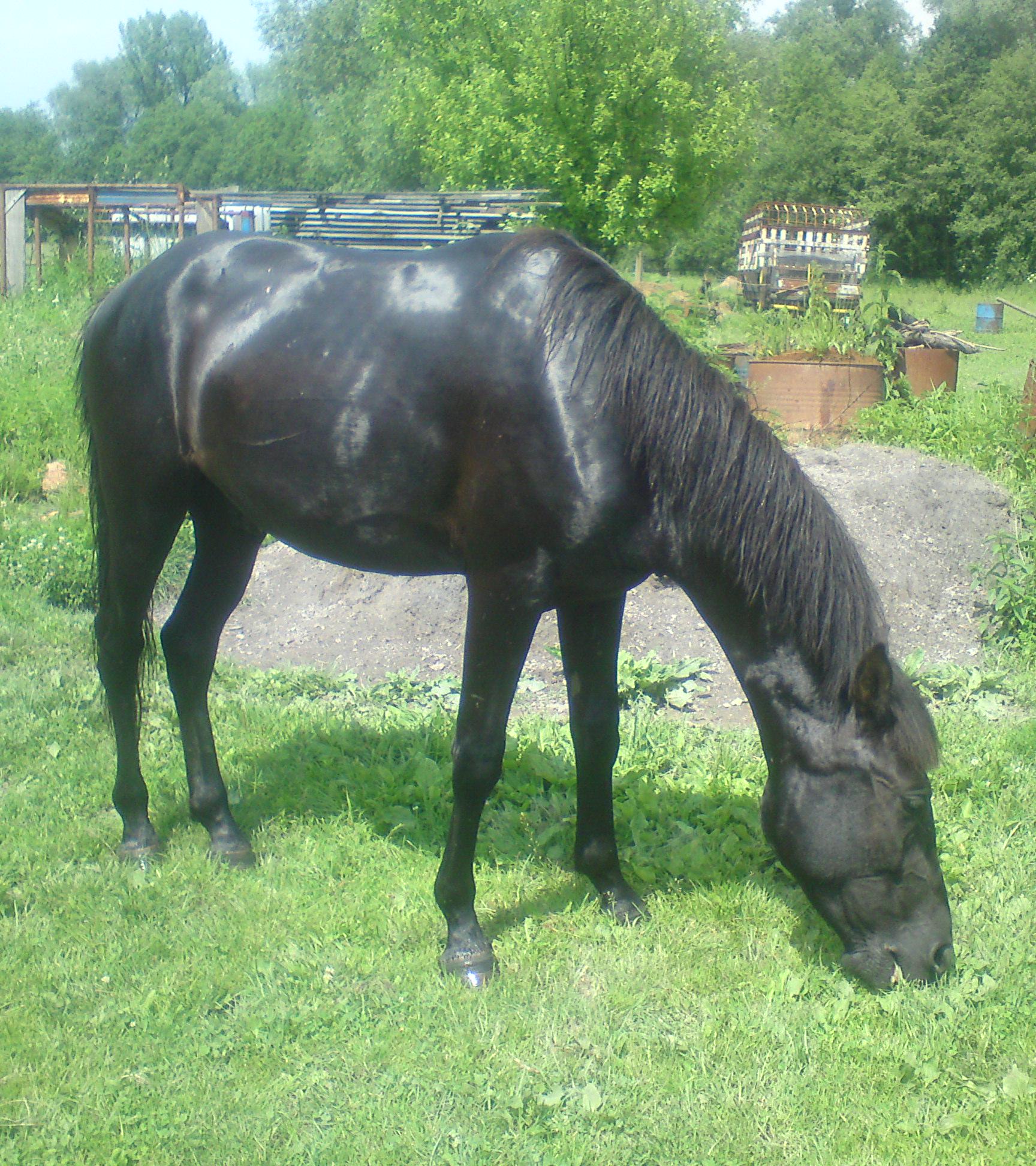 DSC00571