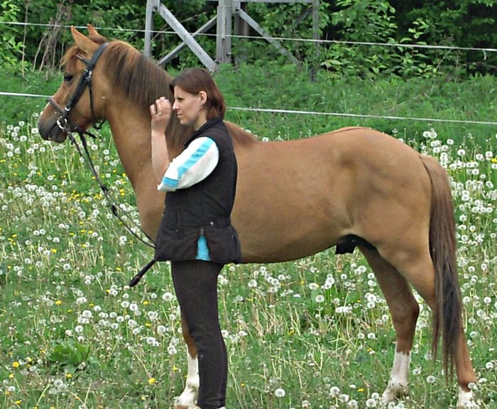 dscn2871