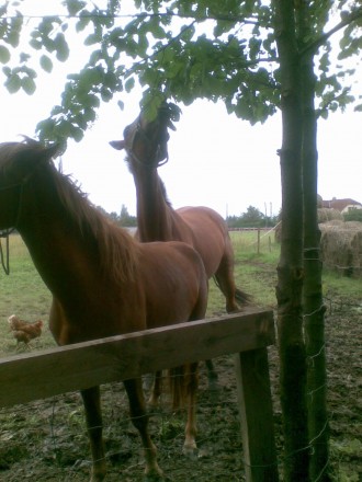 foto-4-004.jpg