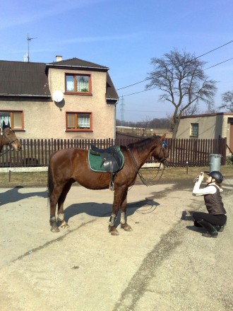 12032011039.jpg