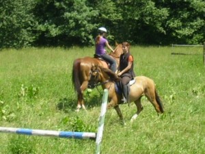 img_1022.jpg
