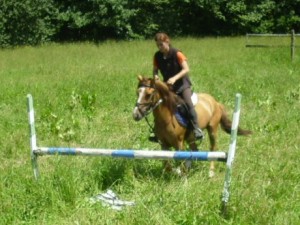 img_1016.jpg