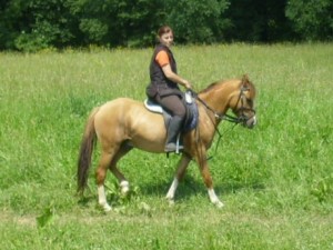 img_1017.jpg