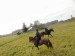 279_CS_DSC02354